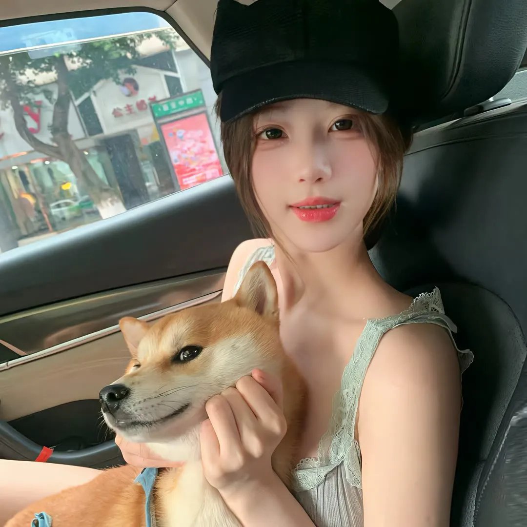 新琼森帮